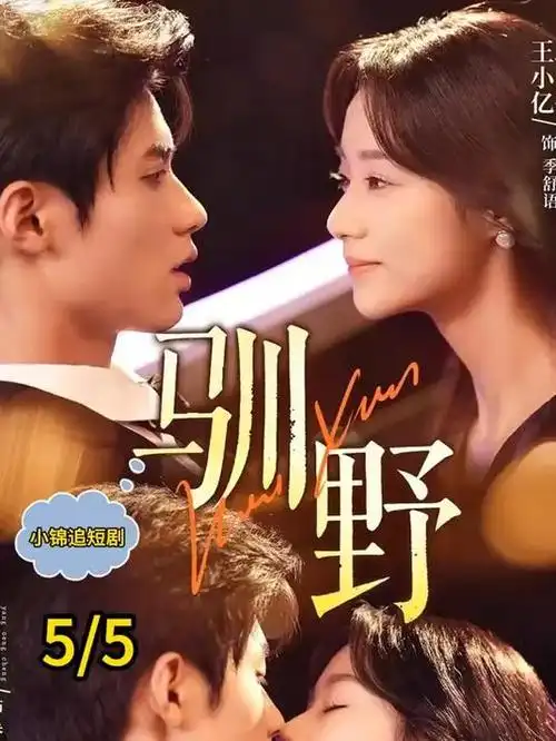齿轮之心热播电视剧在线观看